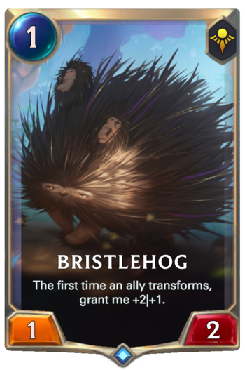 Bristlehog Card