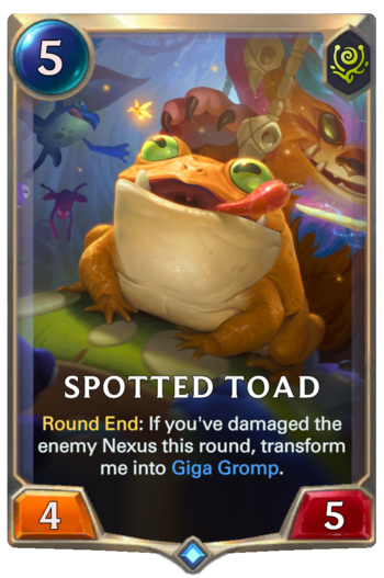 Spotted Toad Card
