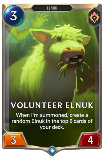 Volunteer Elnuk Card